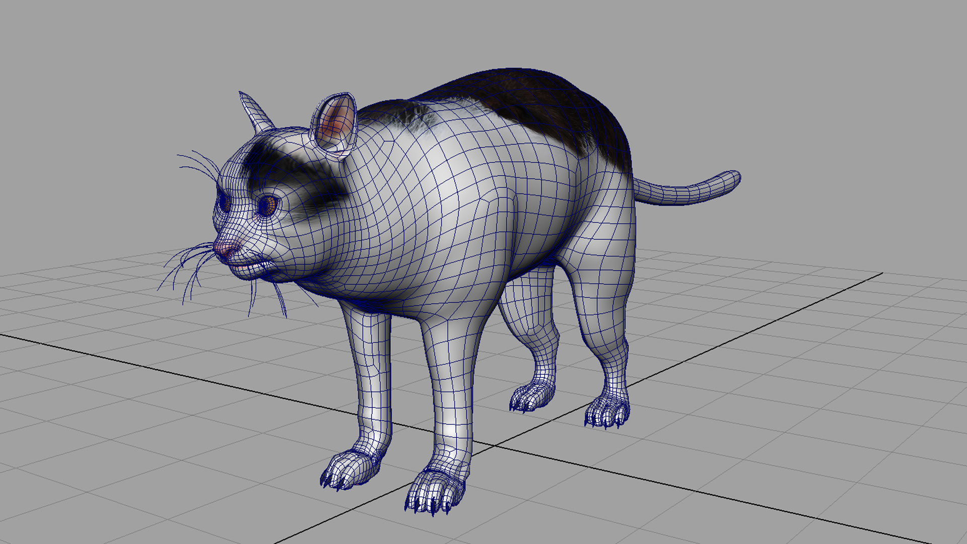 Polite Cat Meme 3d model 3D model | CGTrader
