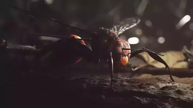 Japanese Hornet Wasp Insect