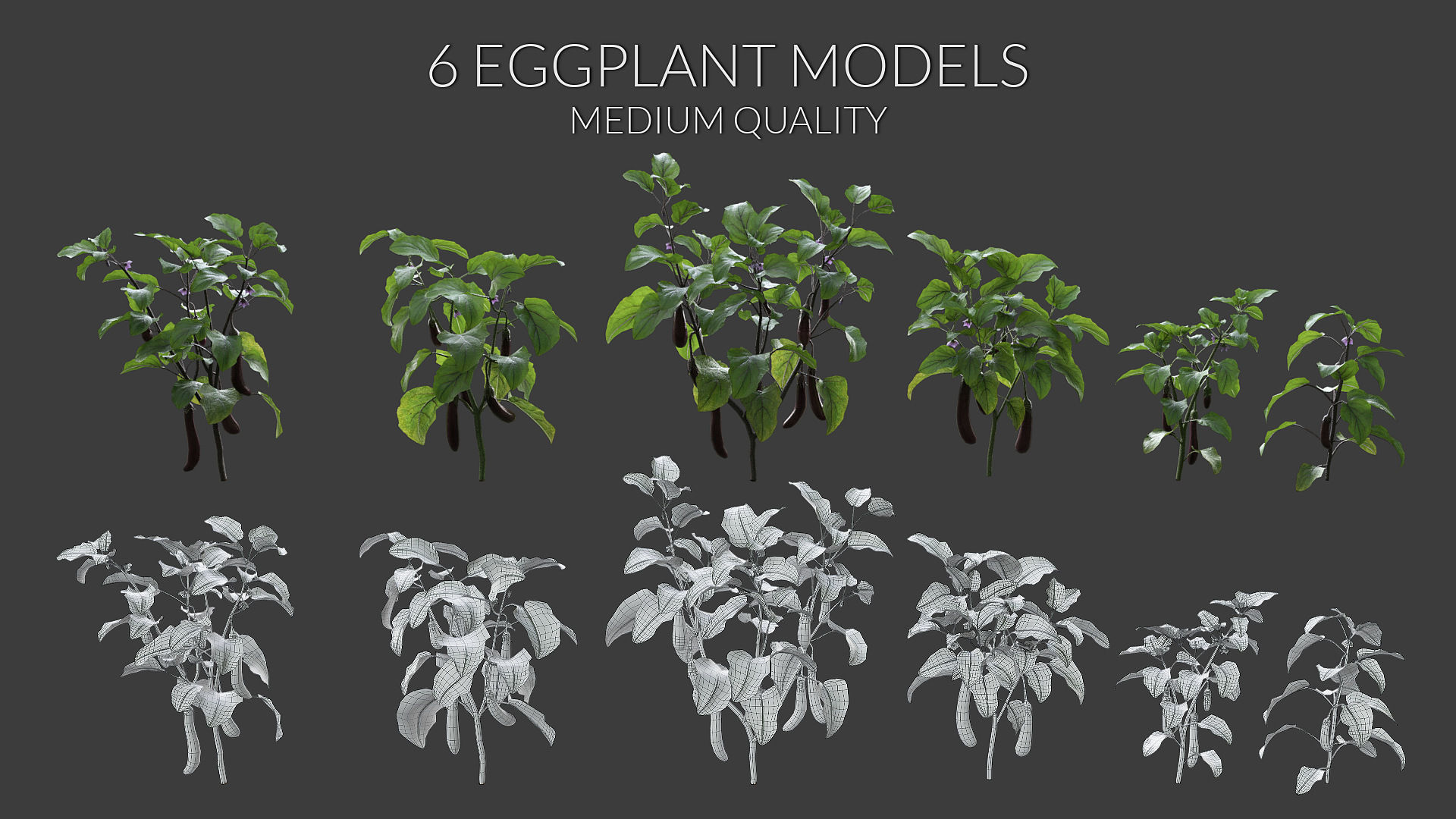 Eggplant Collection vol01 Low-poly 3D model_3