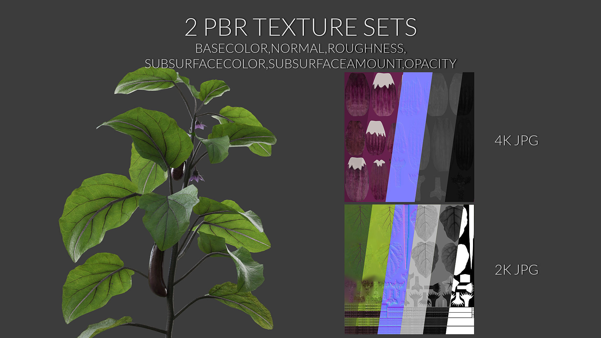 Eggplant Collection vol01 Low-poly 3D model_5