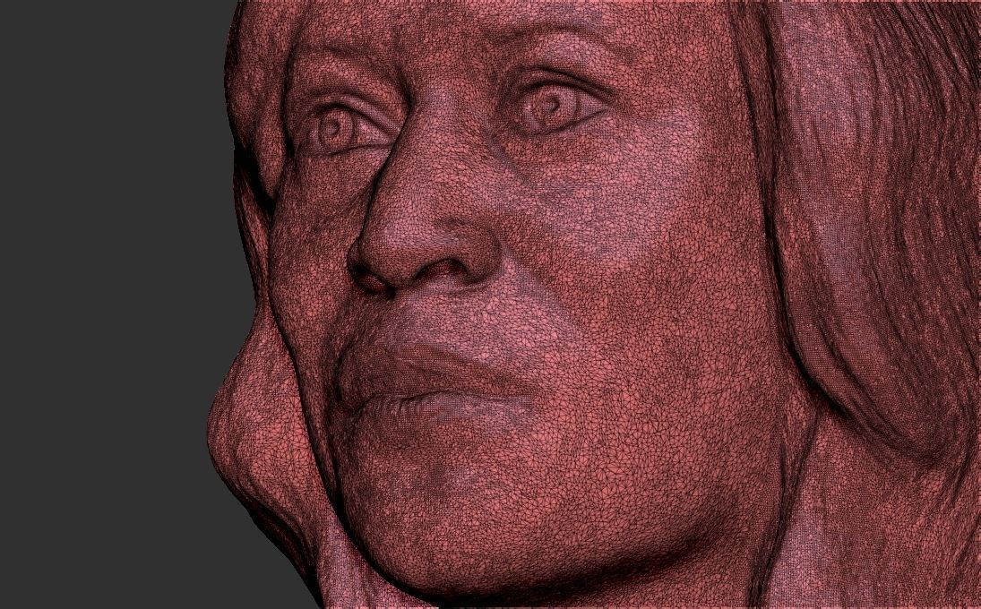 Kamala Harris bust 3D printing ready stl obj formats 3D print model_23