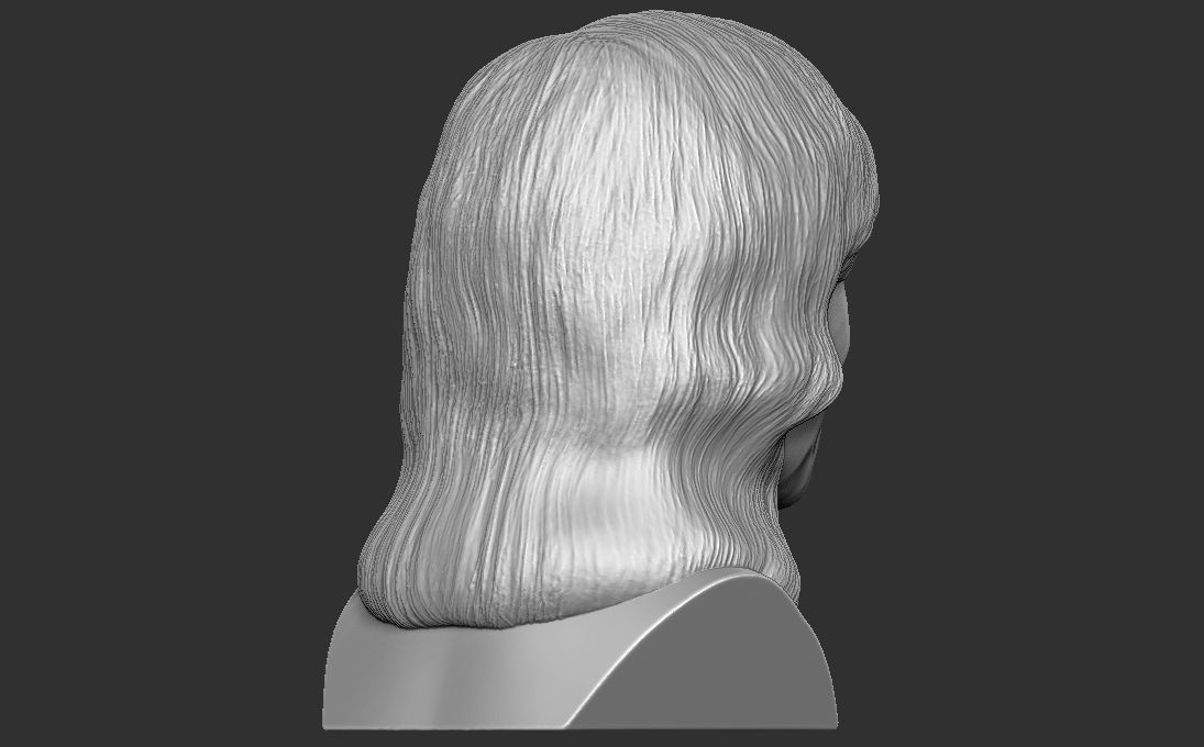Kamala Harris bust 3D printing ready stl obj formats 3D print model_7