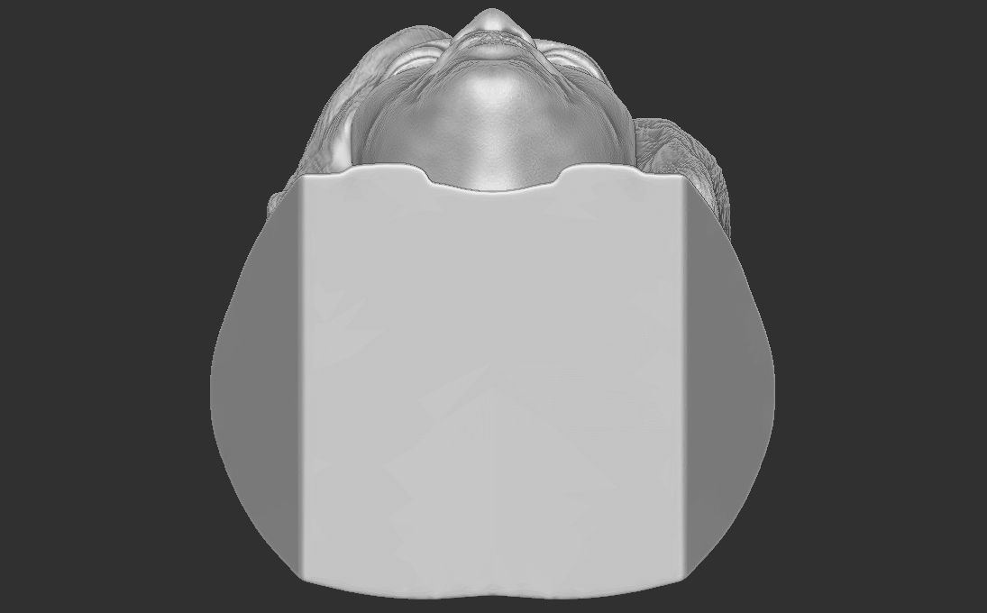 Kamala Harris bust 3D printing ready stl obj formats 3D print model_21