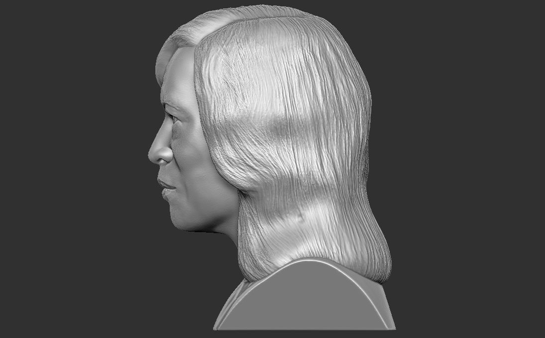 Kamala Harris bust 3D printing ready stl obj formats 3D print model_4