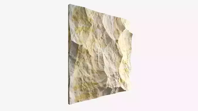 395-RockPanel piece of rock