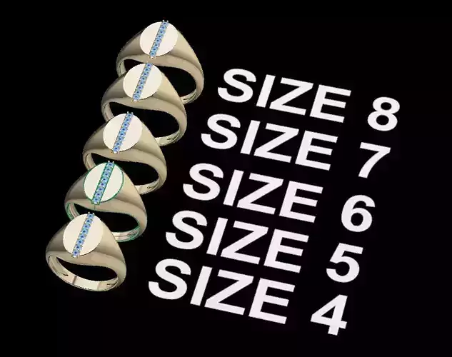 Dainty Signet Ring Diamond Strip Mix Sizes