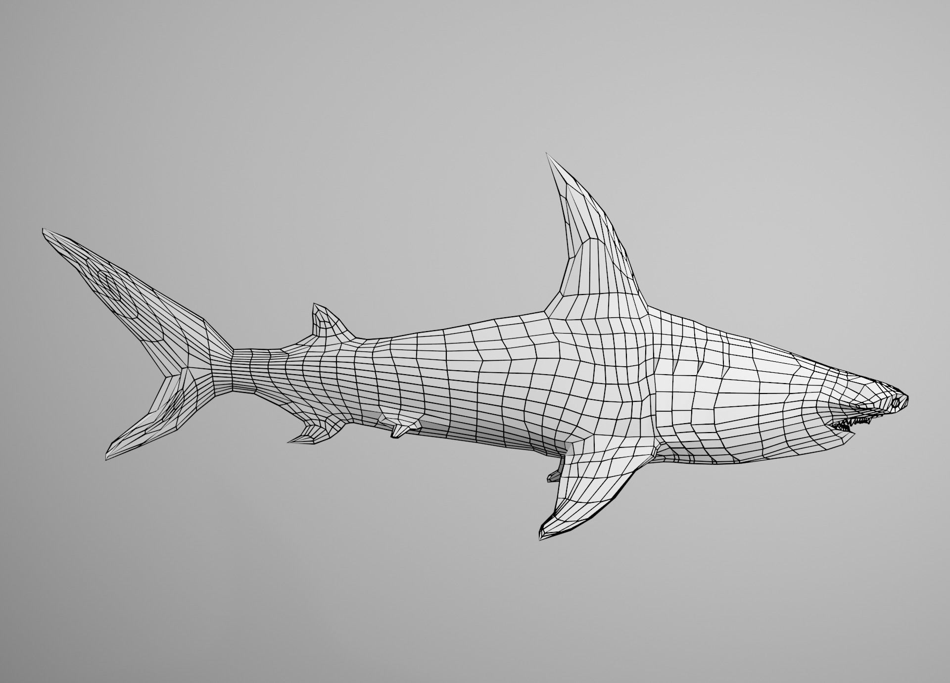 Lowpoly Animated Shark Collection _23