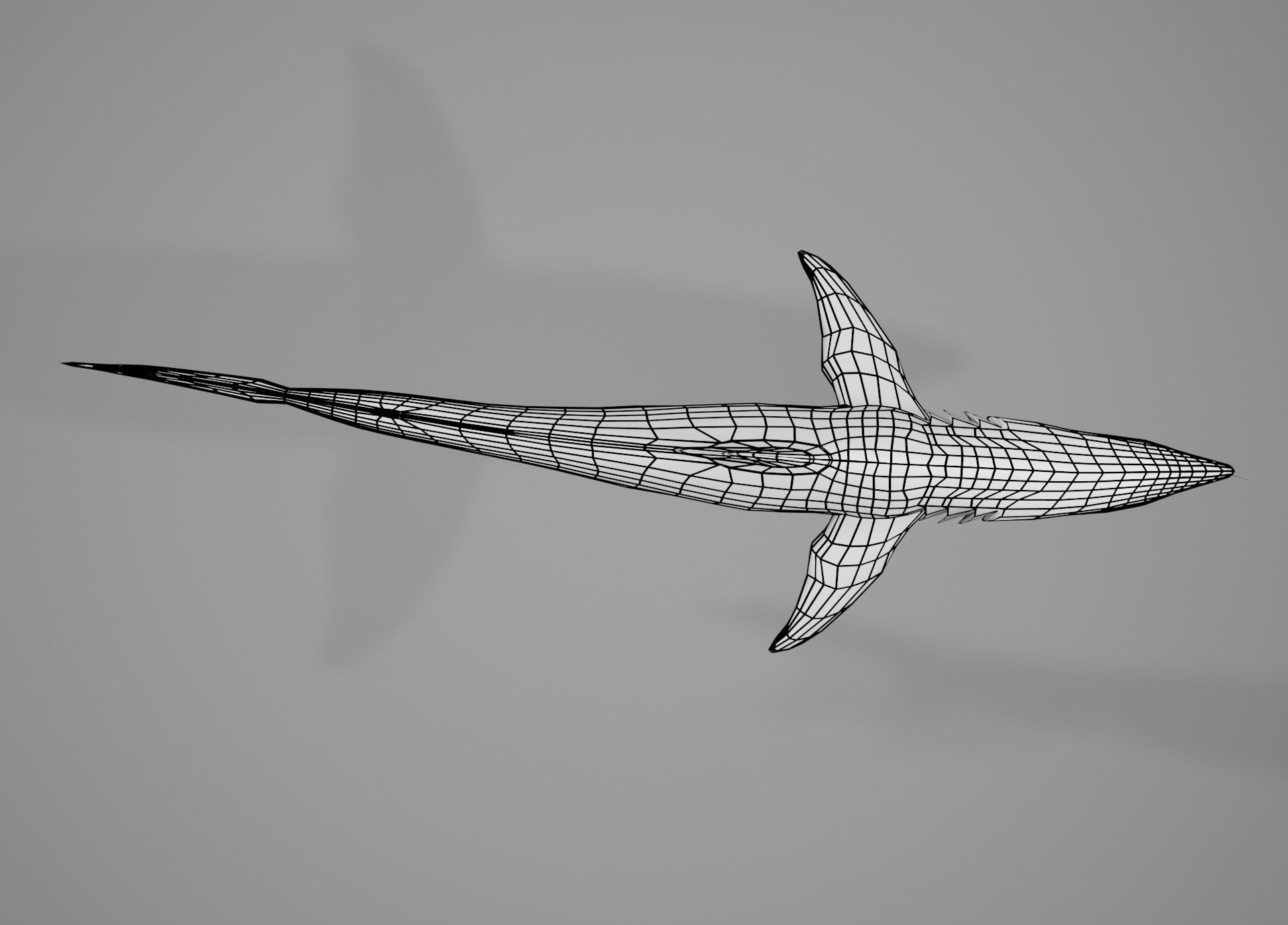 Lowpoly Animated Shark Collection _25