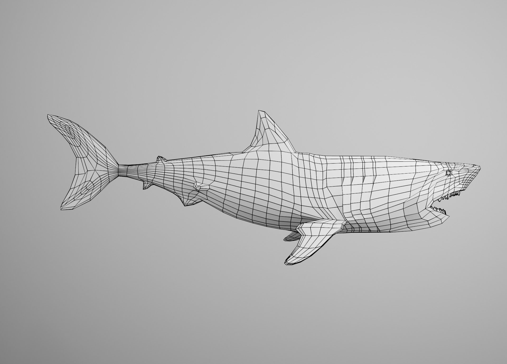 Lowpoly Animated Shark Collection _19