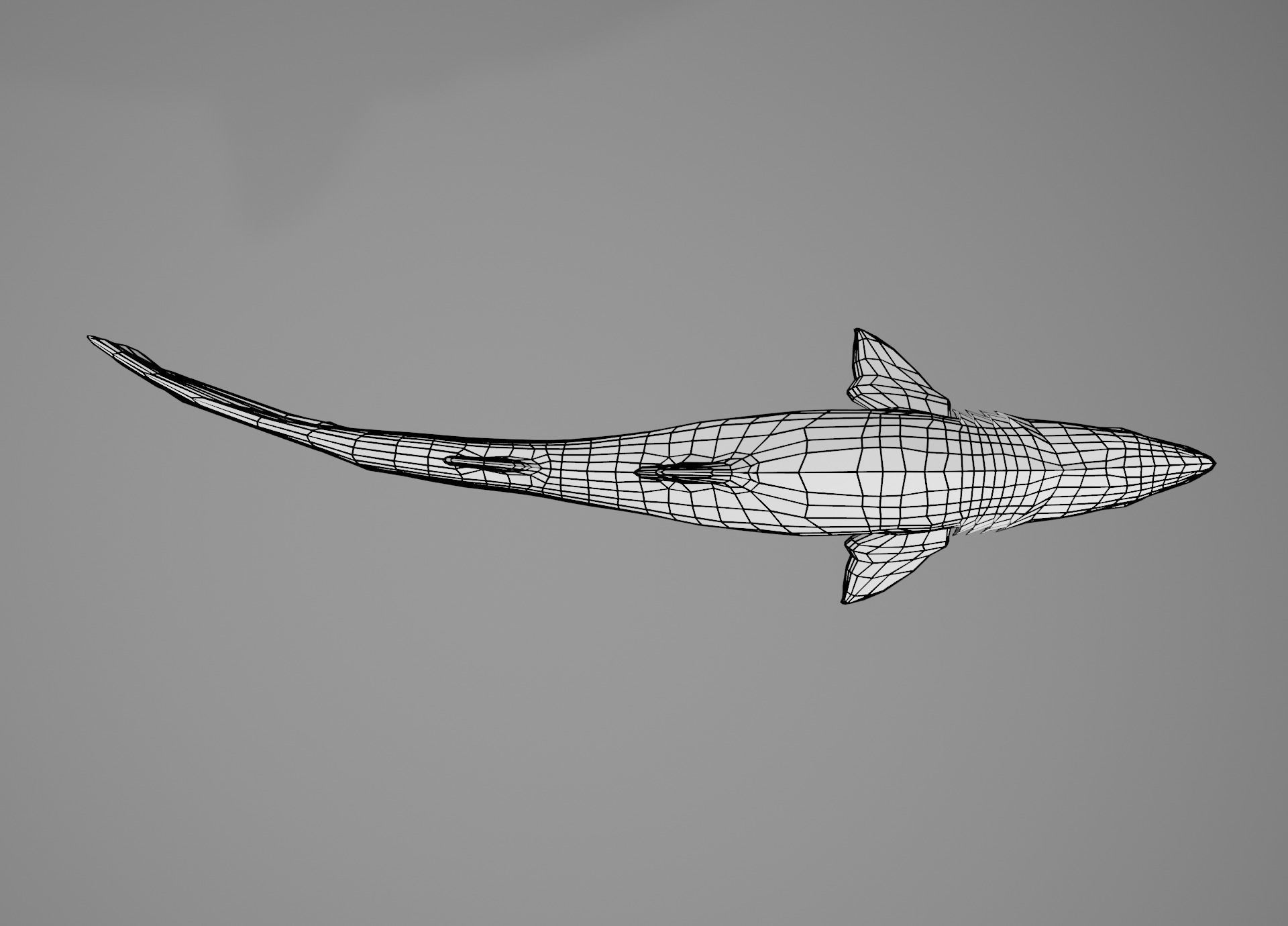 Lowpoly Animated Shark Collection _33