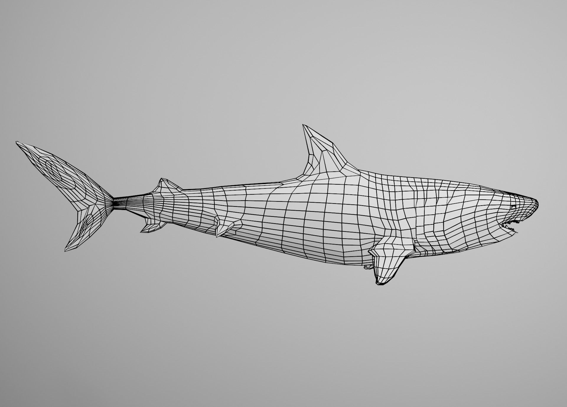 Lowpoly Animated Shark Collection _31