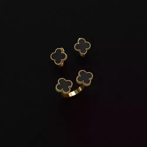 Ring and Earrings  3D print model