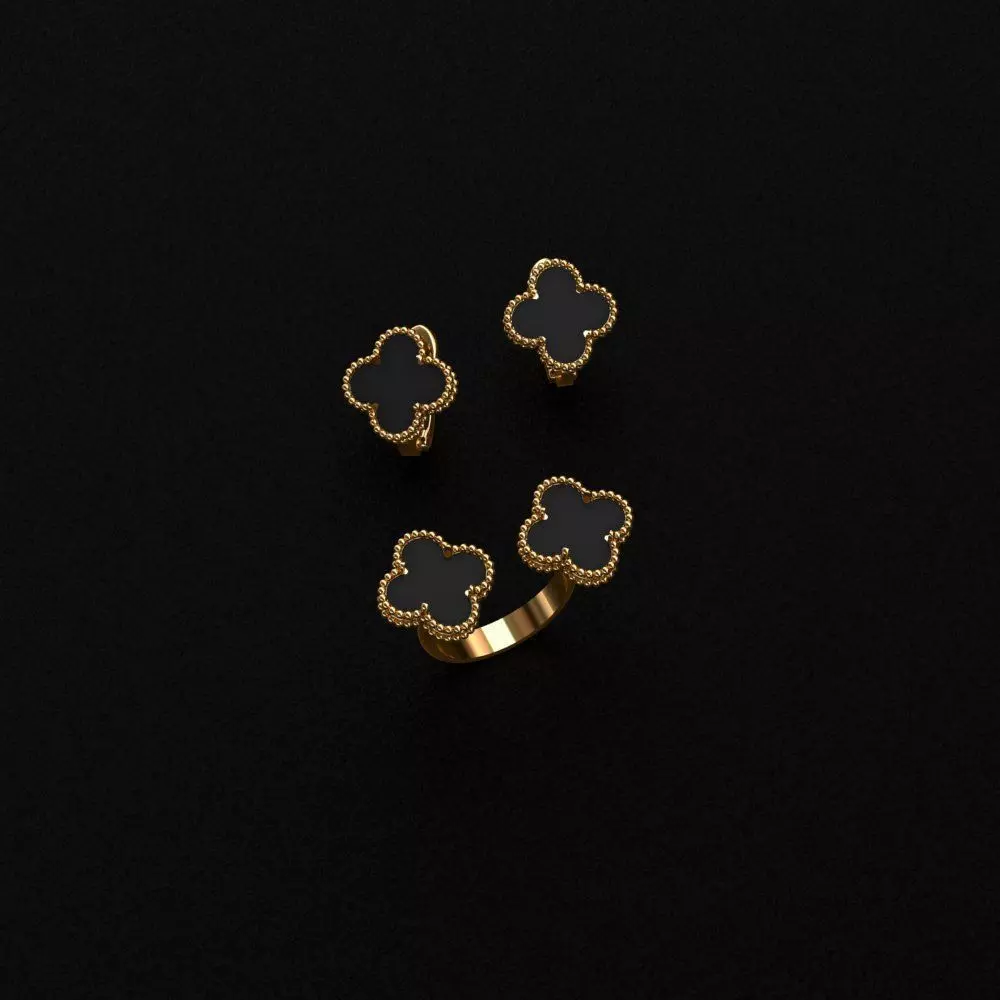 Ring and Earrings  3D print model_0