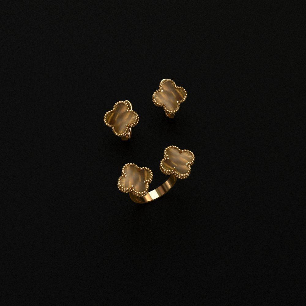 Ring and Earrings  3D print model_2