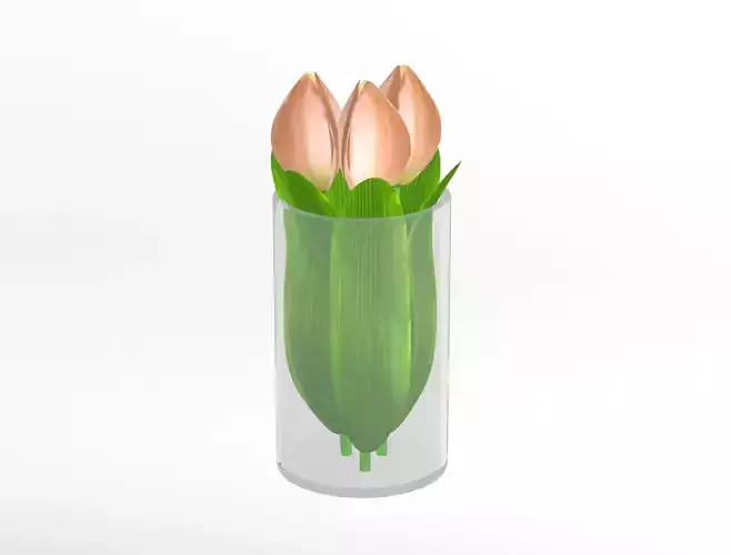Tulips in glass vase