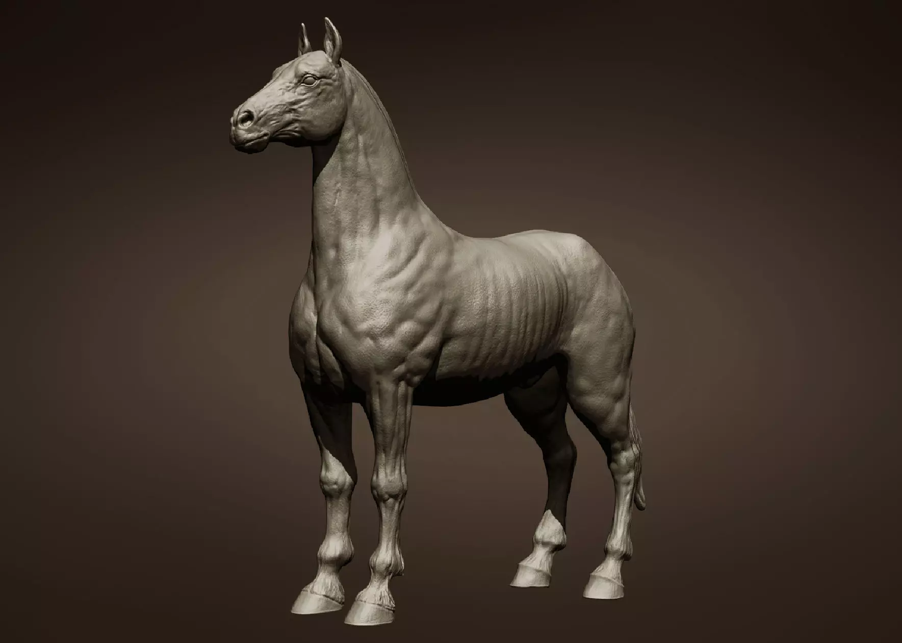 Horse Free 3D model
