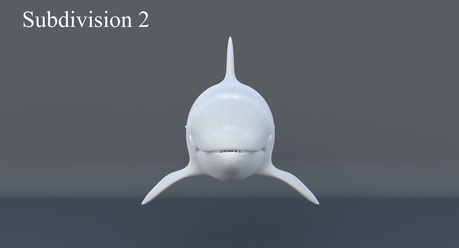 Killer Whale Animated 8K Low-poly 3D model_18