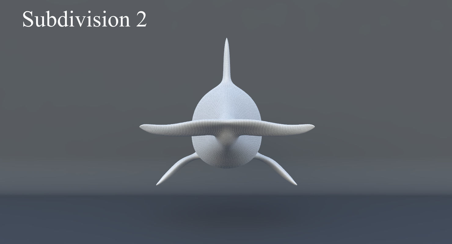 Killer Whale Animated 8K Low-poly 3D model_23