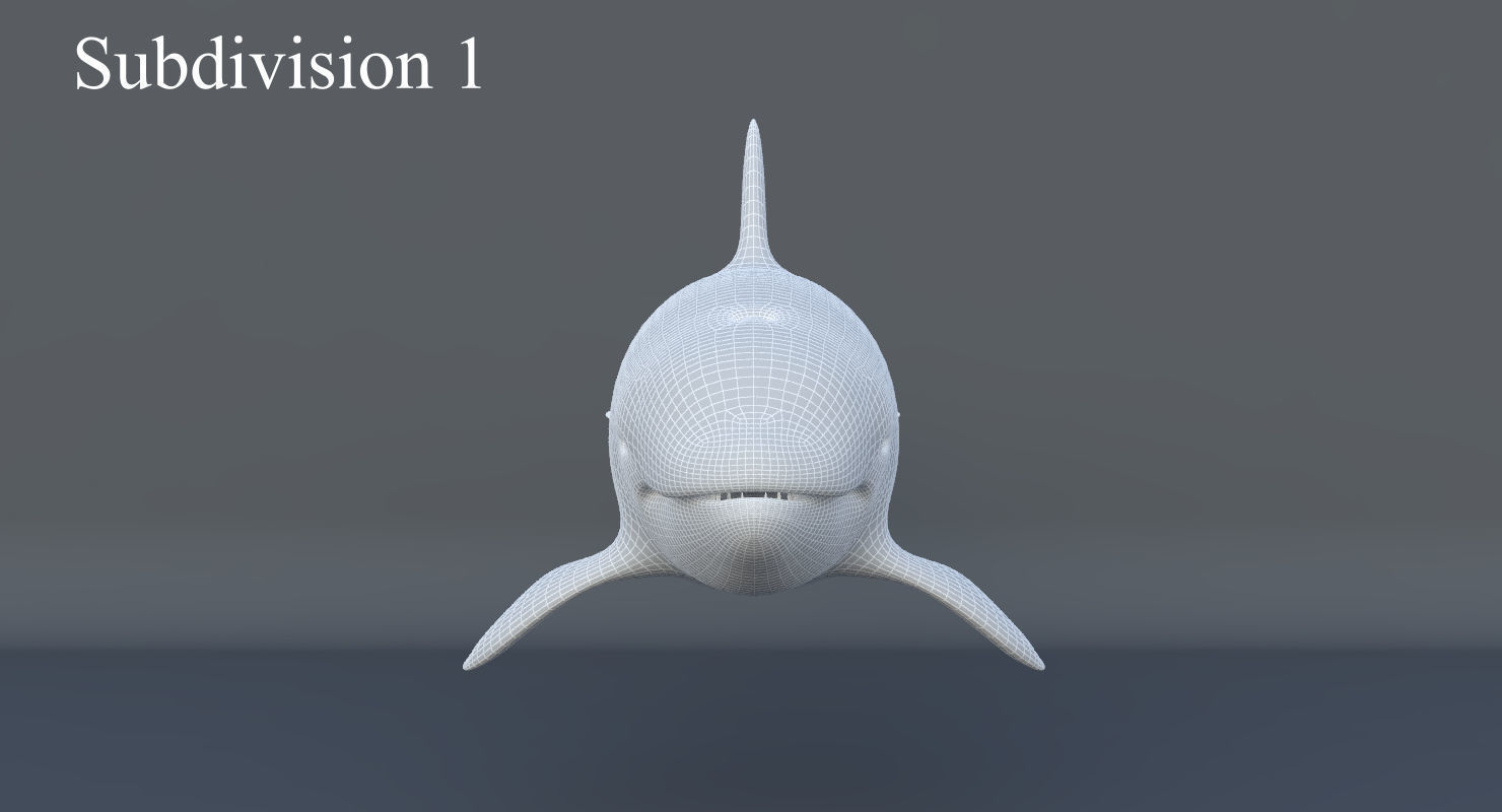 Killer Whale Animated 8K Low-poly 3D model_17