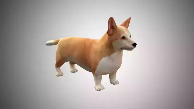 Corgi Dog Low Poly Rigged with high quality texture Low-poly 3D model