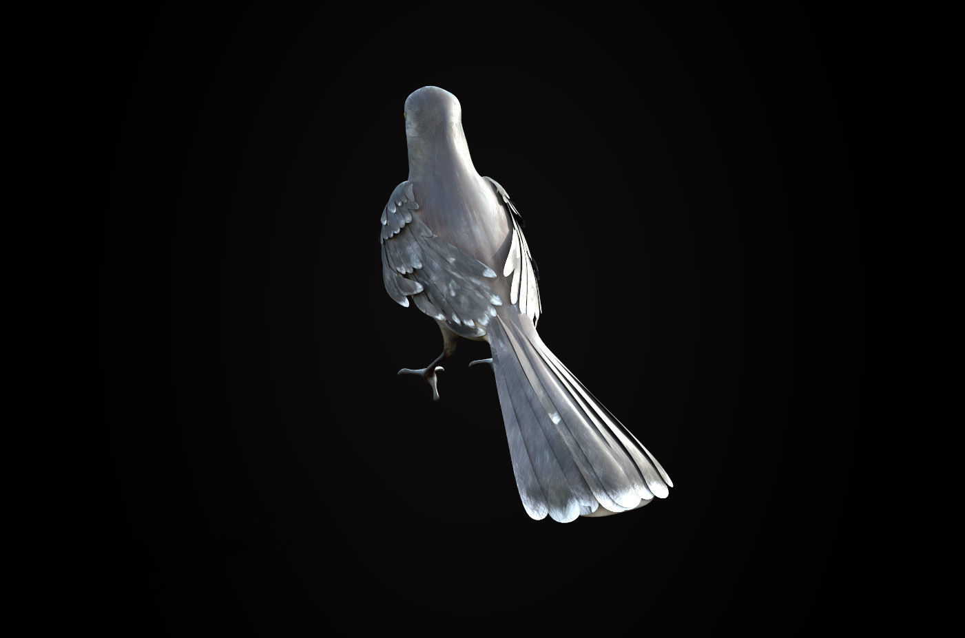 Mockingbird Low Poly Rigged with high quality texture Low-poly 3D model_2