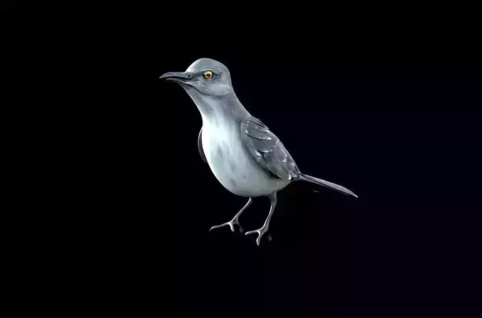 Mockingbird Low Poly Rigged with high quality texture Low-poly 3D model