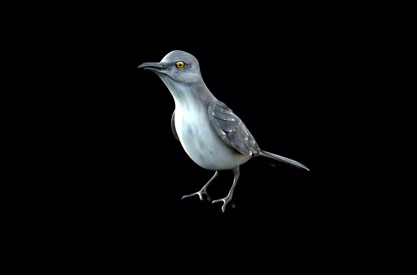 Mockingbird Low Poly Rigged with high quality texture Low-poly 3D model_0