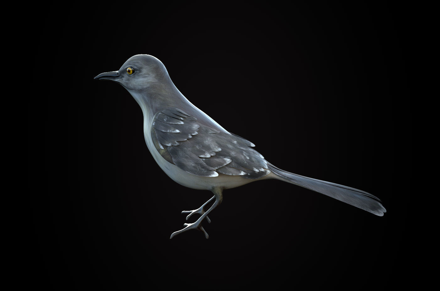 Mockingbird Low Poly Rigged with high quality texture Low-poly 3D model_3
