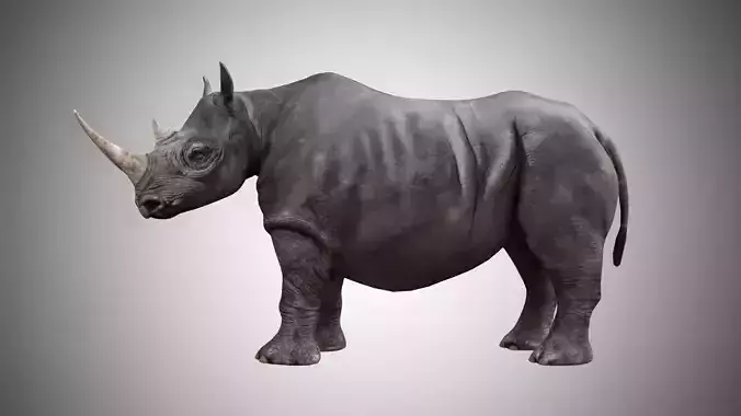 Rhino  Low Poly Rigged with high quality texture Low-poly 3D model