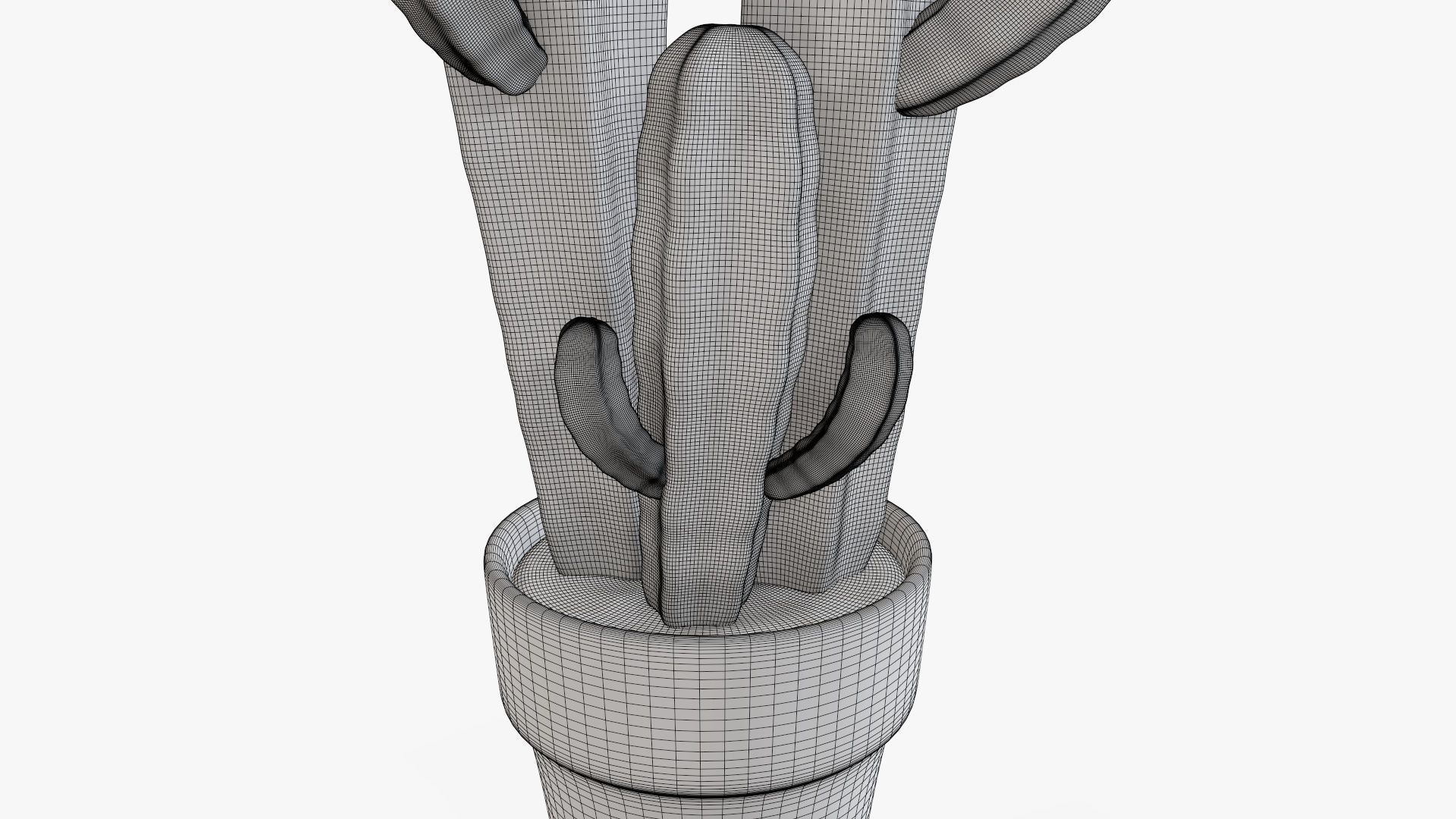 Cactus in planter pot 03 stylized 3D model_8