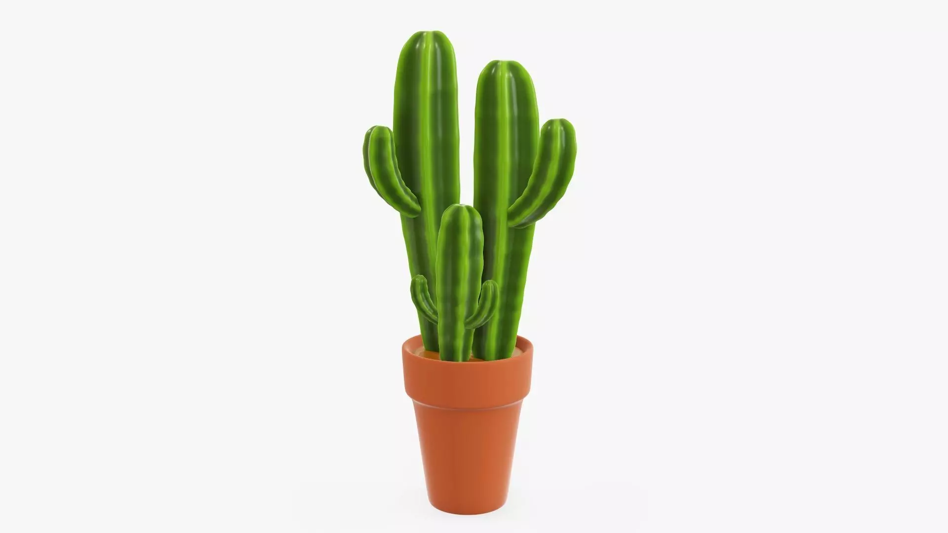 Cactus in planter pot 03 stylized 3D model_0