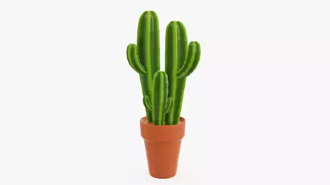 Cactus in planter pot 03 stylized 3D model