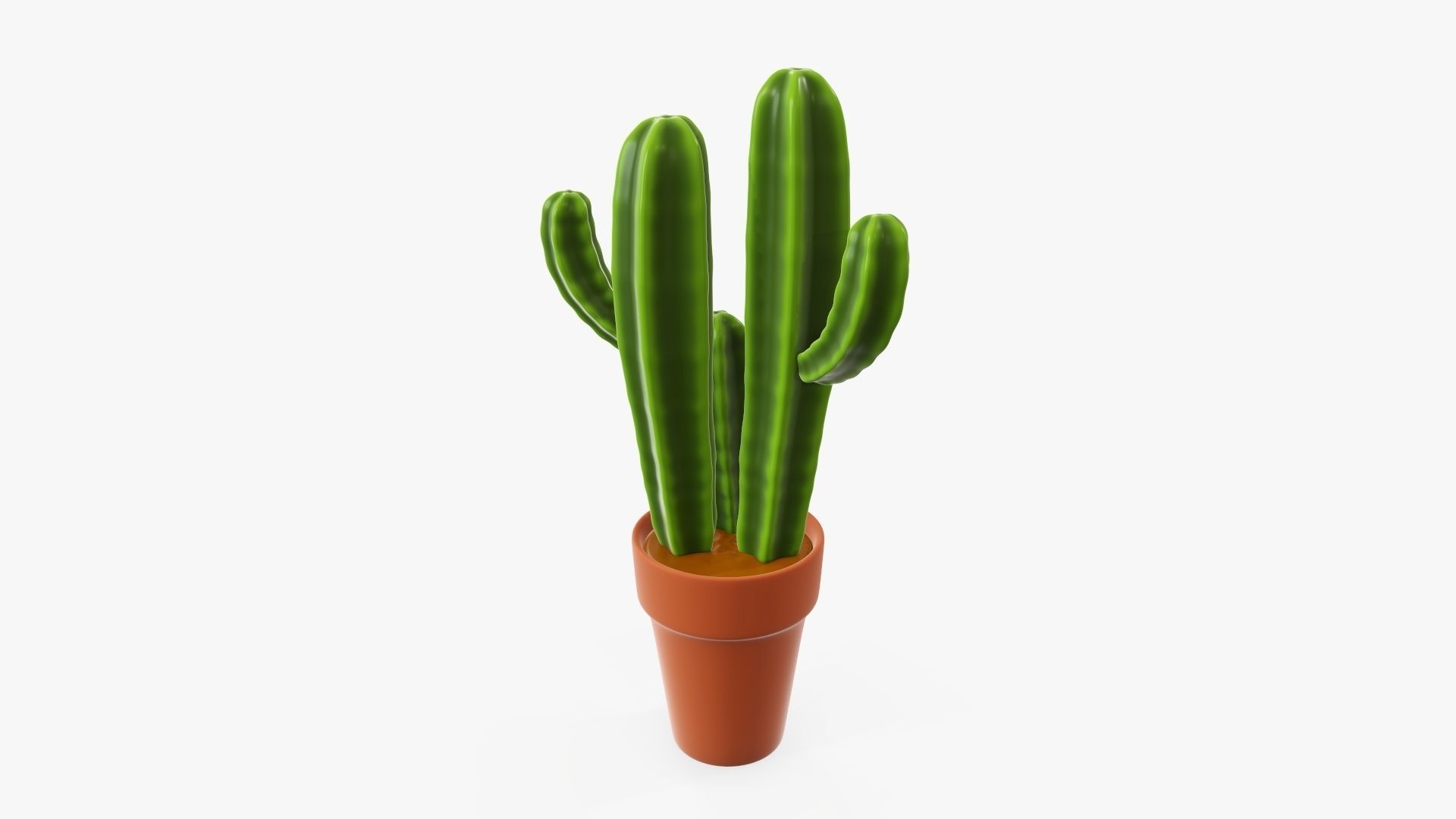 Cactus in planter pot 03 stylized 3D model_2