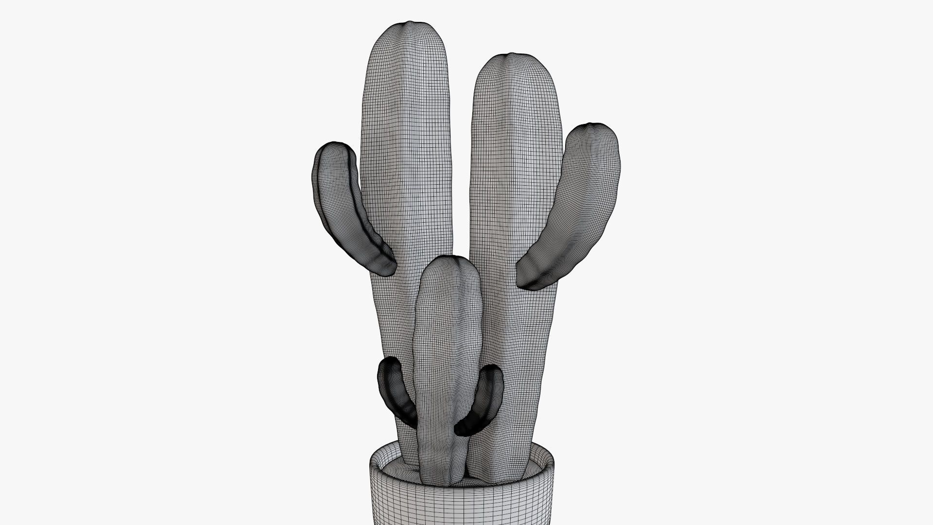 Cactus in planter pot 03 stylized 3D model_6