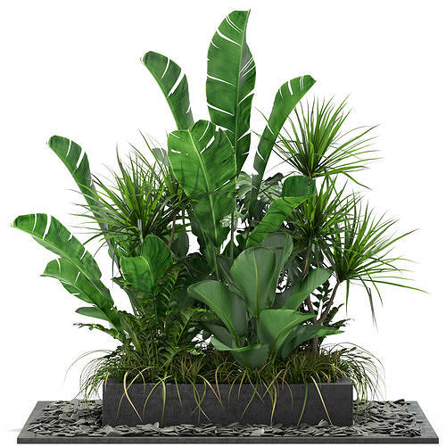 Plants collection 370 3D model