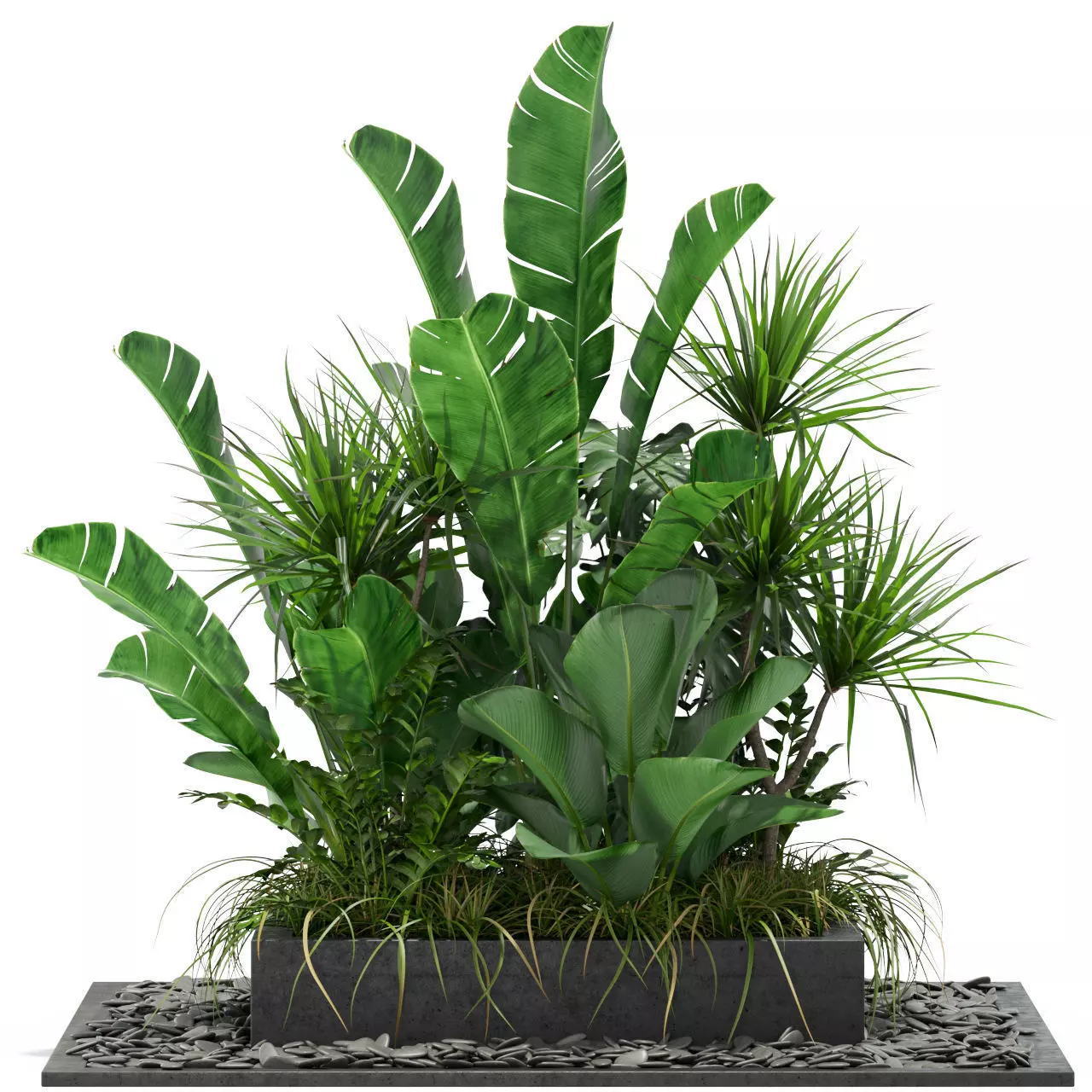 Plants collection 370 3D model_0