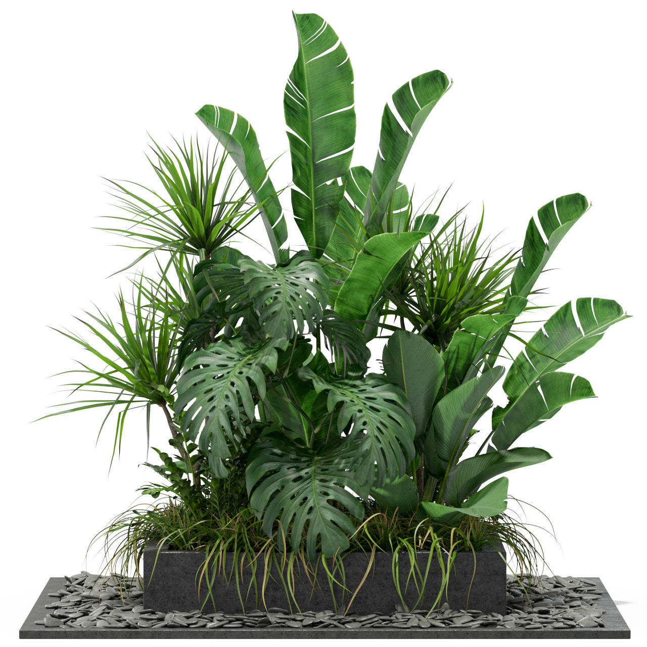Plants collection 370 3D model_2