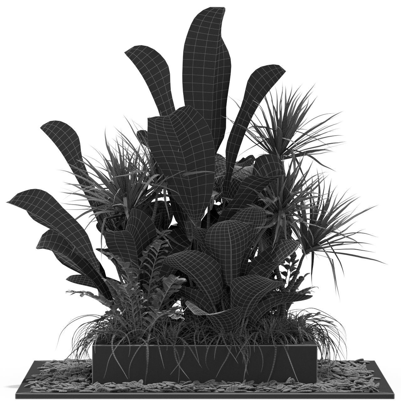 Plants collection 370 3D model_3