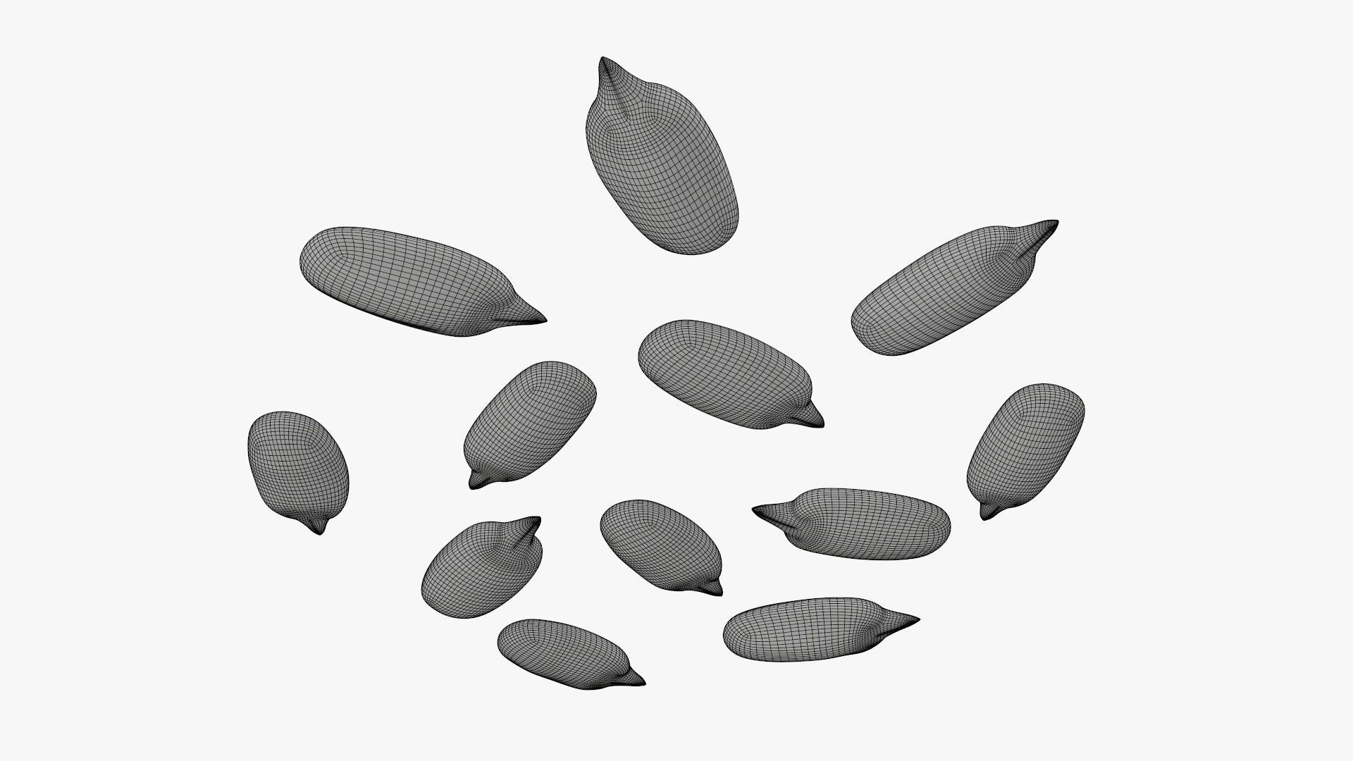 Seeds sunflower 02 3D model_9