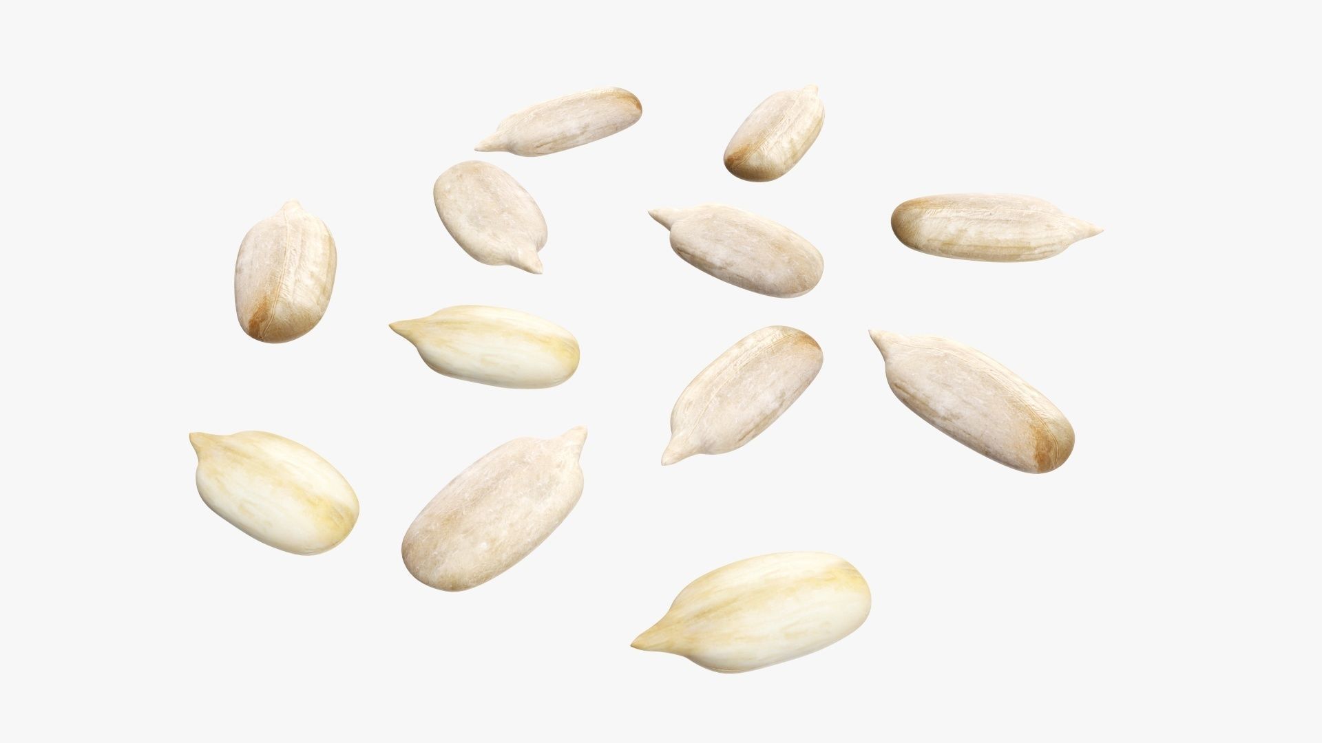 Seeds sunflower 02 3D model_1