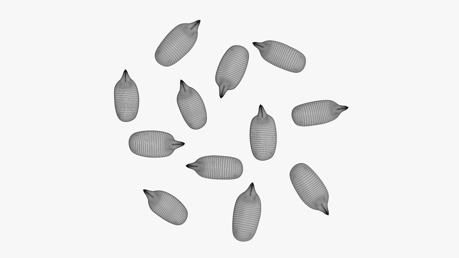 Seeds sunflower 02 3D model_5
