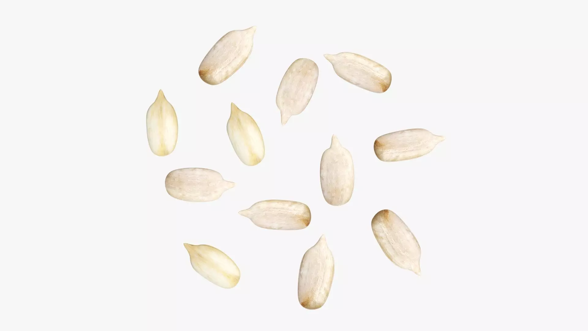 Seeds sunflower 02 3D model_0