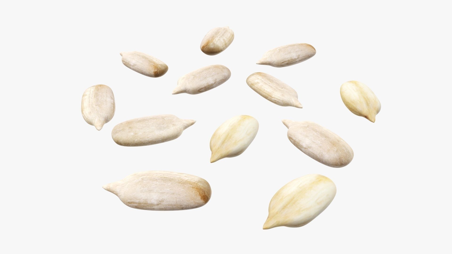 Seeds sunflower 02 3D model_2