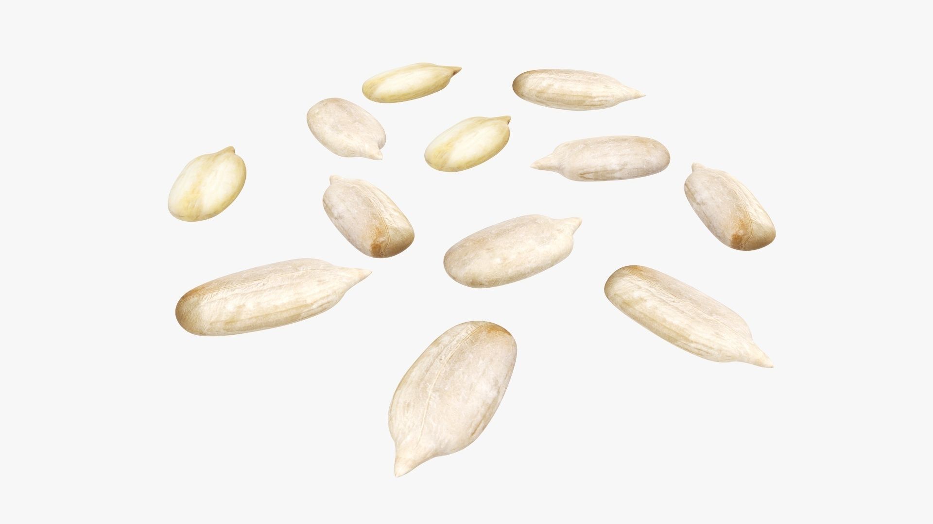 Seeds sunflower 02 3D model_3