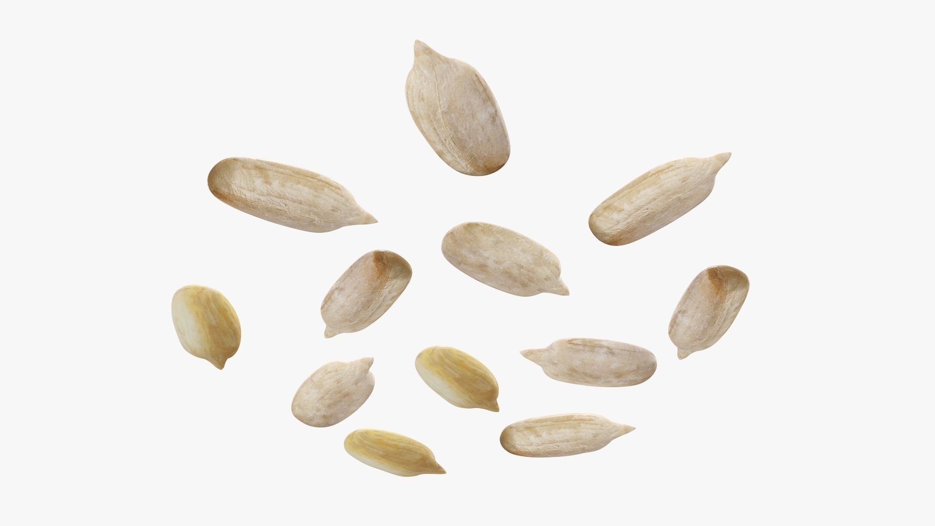 Seeds sunflower 02 3D model_4