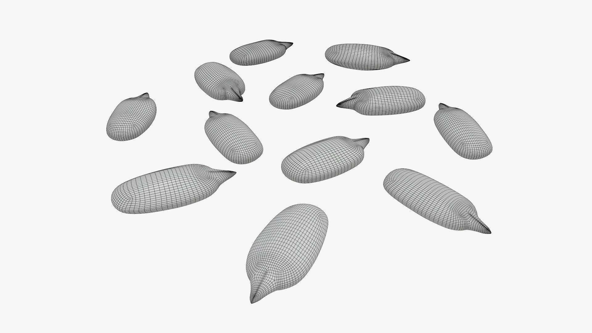 Seeds sunflower 02 3D model_8
