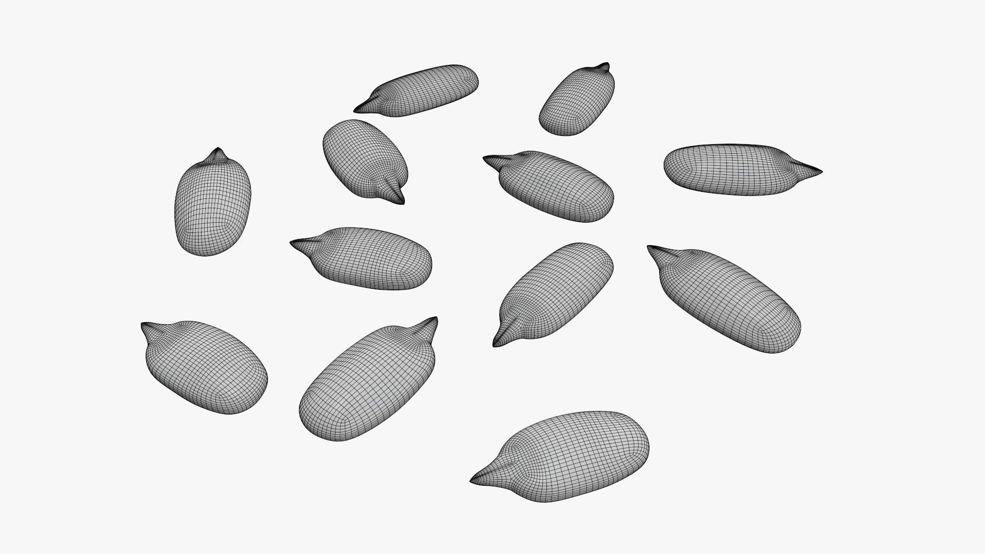Seeds sunflower 02 3D model_6