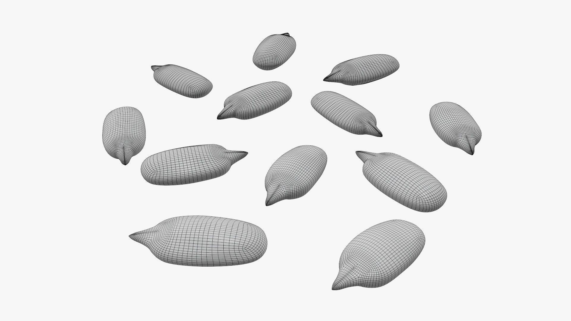 Seeds sunflower 02 3D model_7
