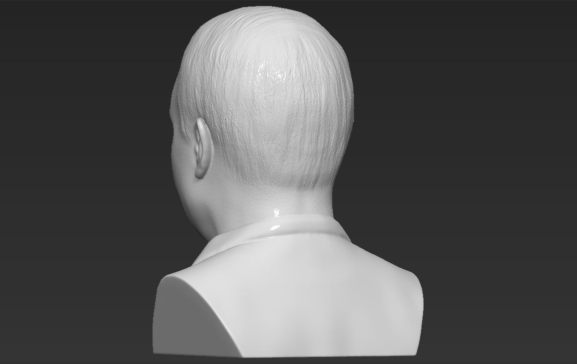 John McCain bust 3D printing ready stl obj formats 3D print model_10