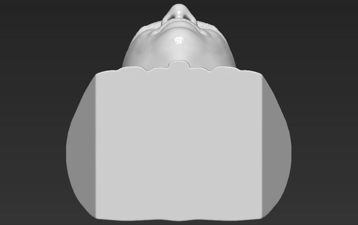 John McCain bust 3D printing ready stl obj formats 3D print model_28